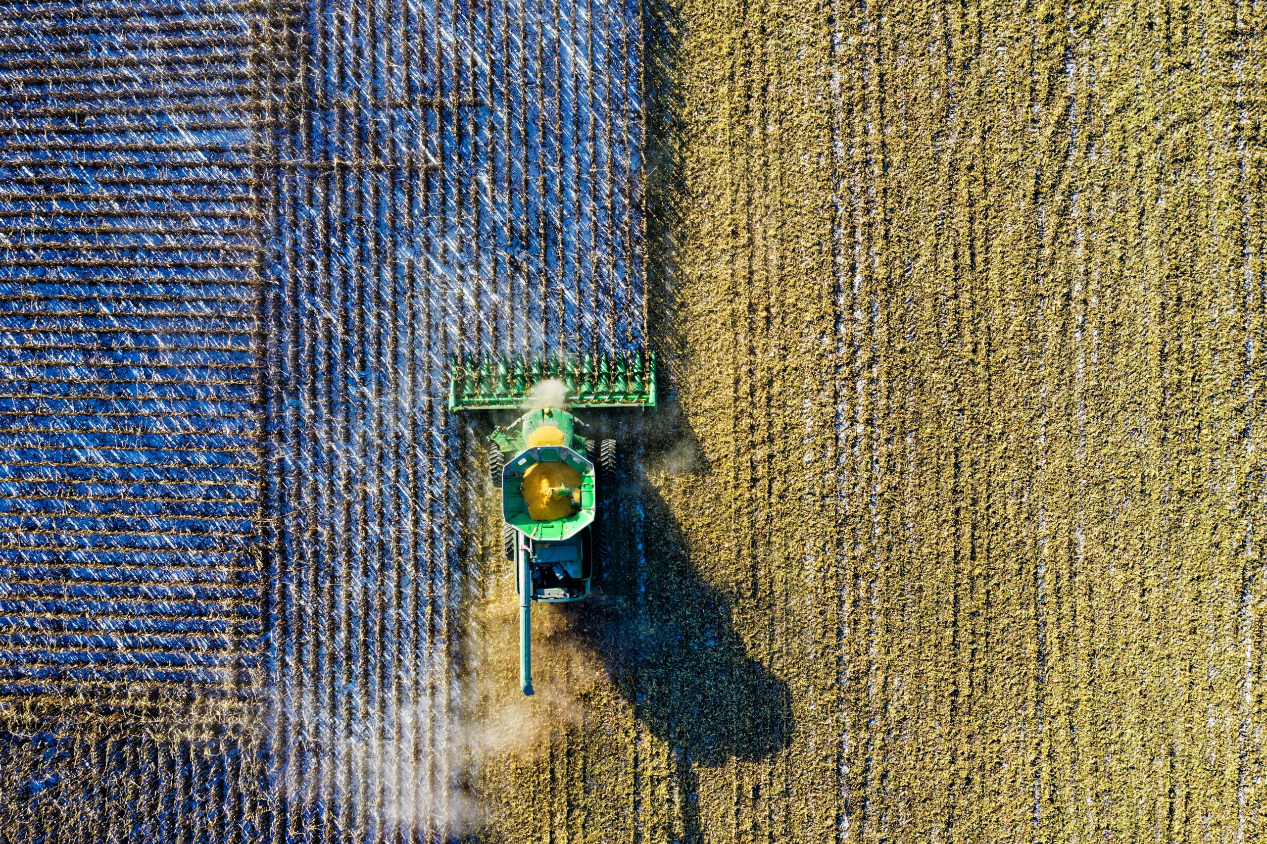 Novas medidas da Agricultura