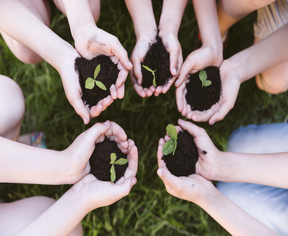 Educação Ambiental + Sustentável